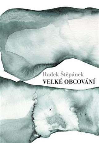 Книга Velké obcování Radek Štěpánek