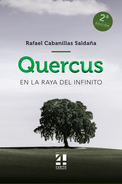 Book EN LA RAYA DEL INFINITO RAFAEL CABANILLAS