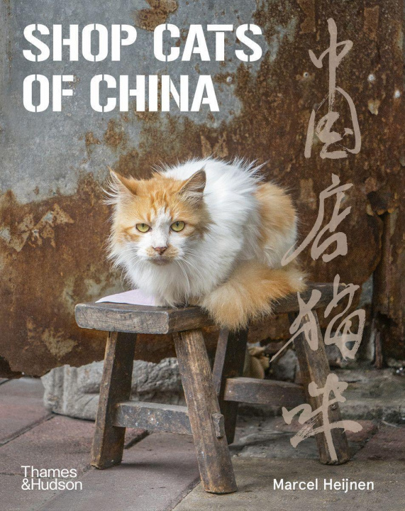 Carte Shop Cats of China MARCEL HEIJNEN
