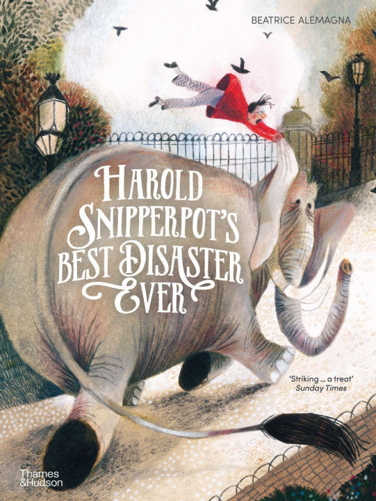 Könyv Harold Snipperpot's Best Disaster Ever Beatrice Alemagna