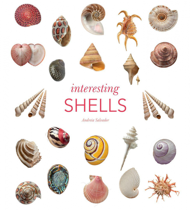 Book Interesting Shells ANDREIA SALVADOR