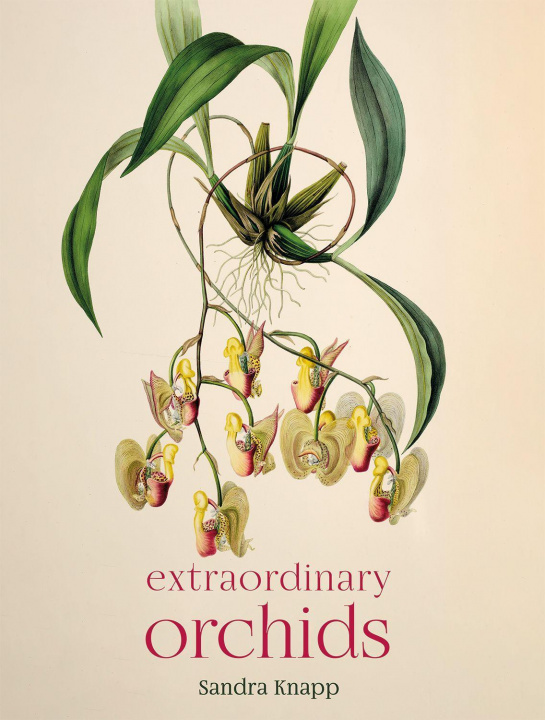 Book Extraordinary Orchids Sandra Knapp