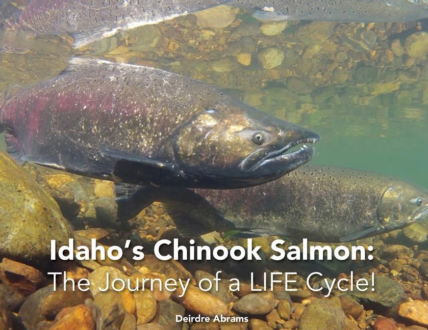 Knjiga Idaho's Chinook Salmon Abrams Deirdre A Abrams