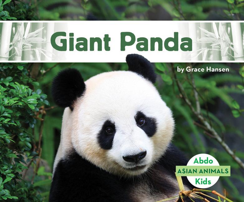 Βιβλίο Giant Panda Grace Hansen