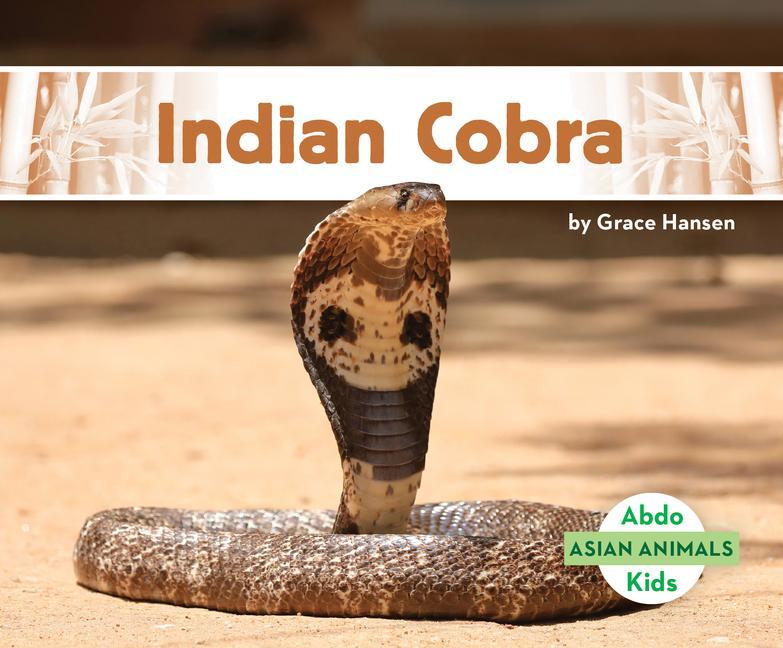 Knjiga Indian Cobra Grace Hansen