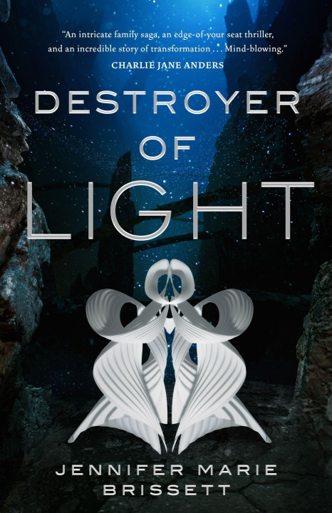 Könyv Destroyer of Light 