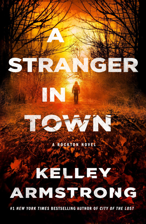 Kniha A Stranger in Town: A Rockton Novel 