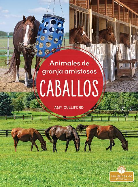 Libro Caballos (Horses) Santiago Ochoa