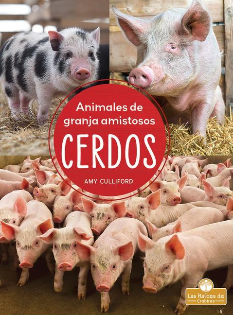 Kniha Cerdos (Pigs) Santiago Ochoa