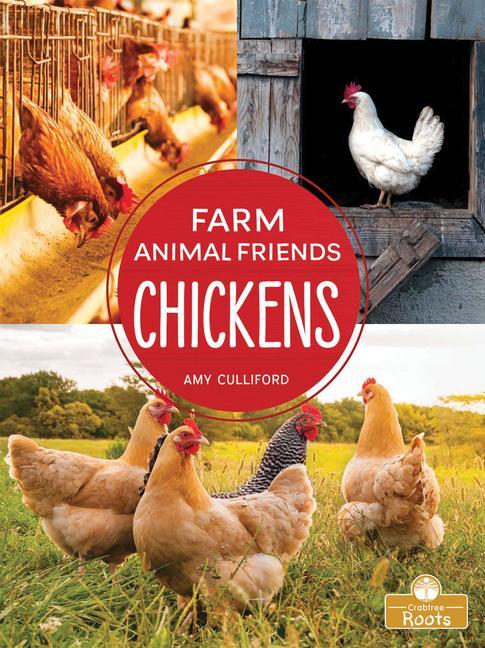 Knjiga Chickens Amy Culliford