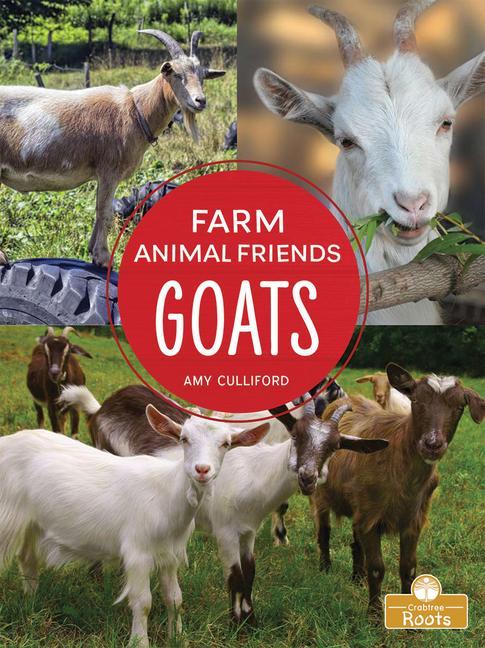 Book Goats Amy Culliford