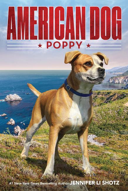 Buch Poppy Jennifer Li Shotz