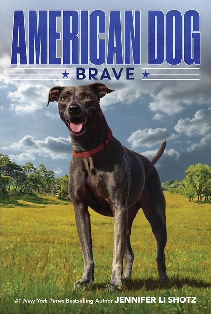 Buch Brave Jennifer Li Shotz