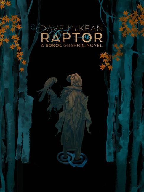 Könyv Raptor: A Sokol Graphic Novel Dave Mckean