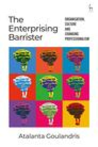 Kniha Enterprising Barrister 