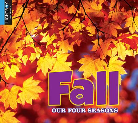 Knjiga Fall Heather Kissock
