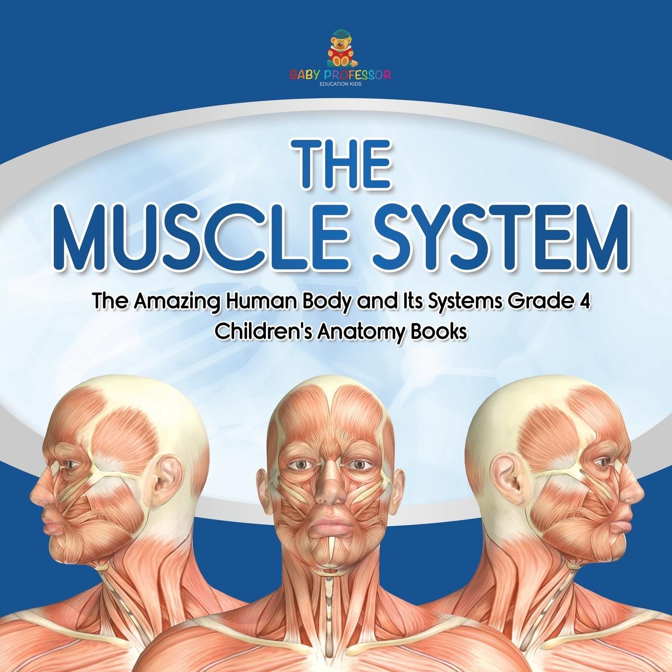 Kniha Muscle System The Amazing Human Body and Its Systems Grade 4 Children's Anatomy Books Baby Professor