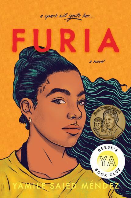 Book Furia Yamile Saied Méndez