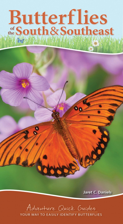 Könyv Butterflies of the South & Southeast 
