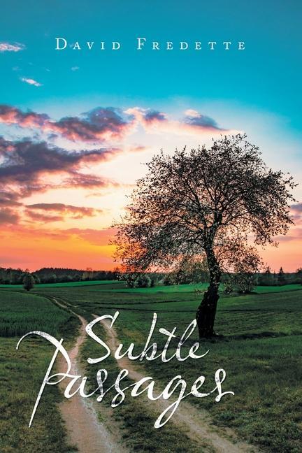 Knjiga Subtle Passages David Fredette