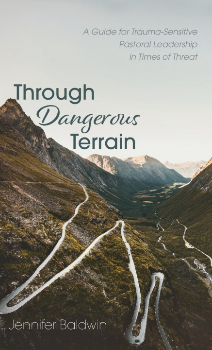 Book Through Dangerous Terrain Jennifer Baldwin
