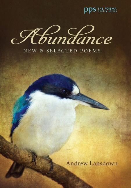 Kniha Abundance Andrew Lansdown