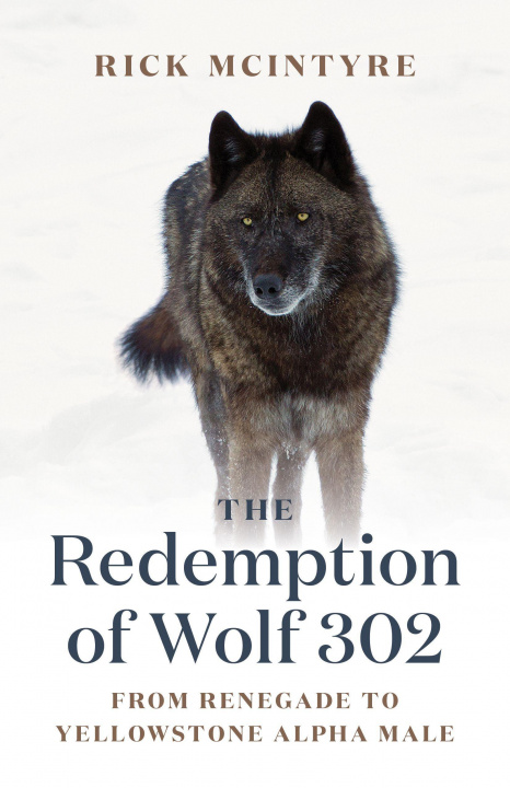 Kniha Redemption of Wolf 302 