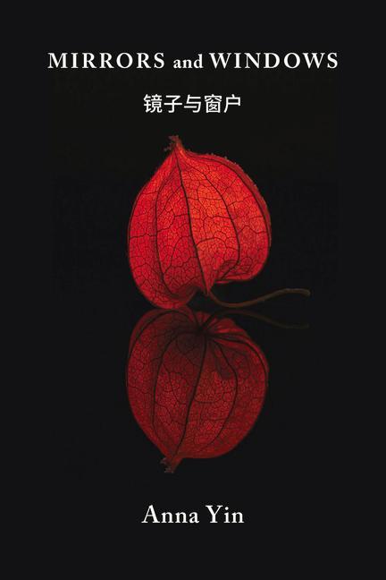 Buch Mirrors and Windows Anna Yin