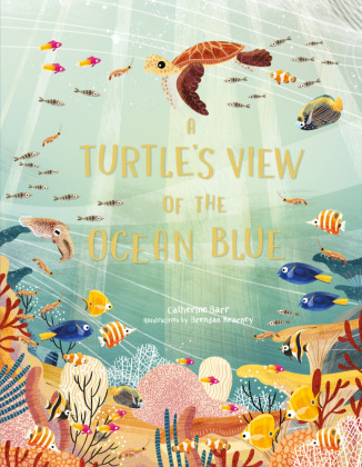 Kniha Turtle's View of the Ocean Blue Catherine Barr