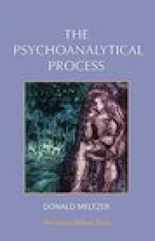 Knjiga Psychoanalytical Process Donald Metlzer
