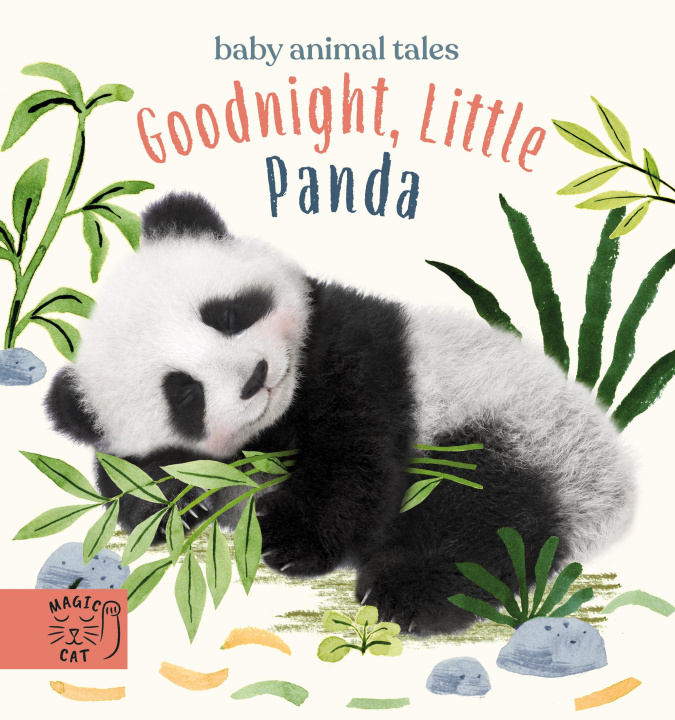 Carte Goodnight, Little Panda Amanda Wood