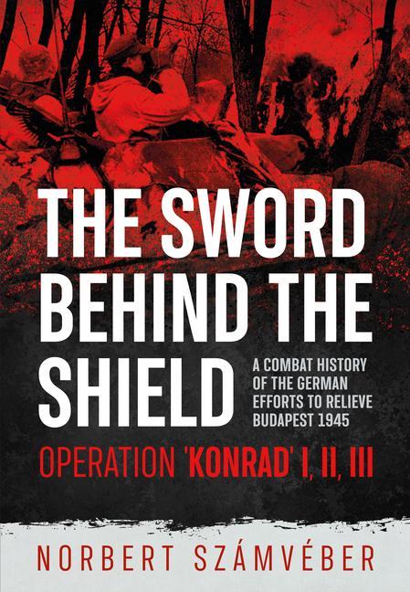 Kniha Sword Behind the Shield 
