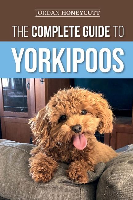 Kniha Complete Guide to Yorkipoos 