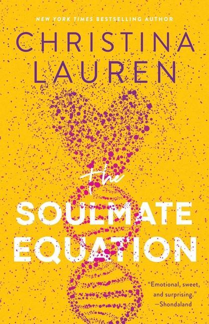 Kniha Soulmate Equation 