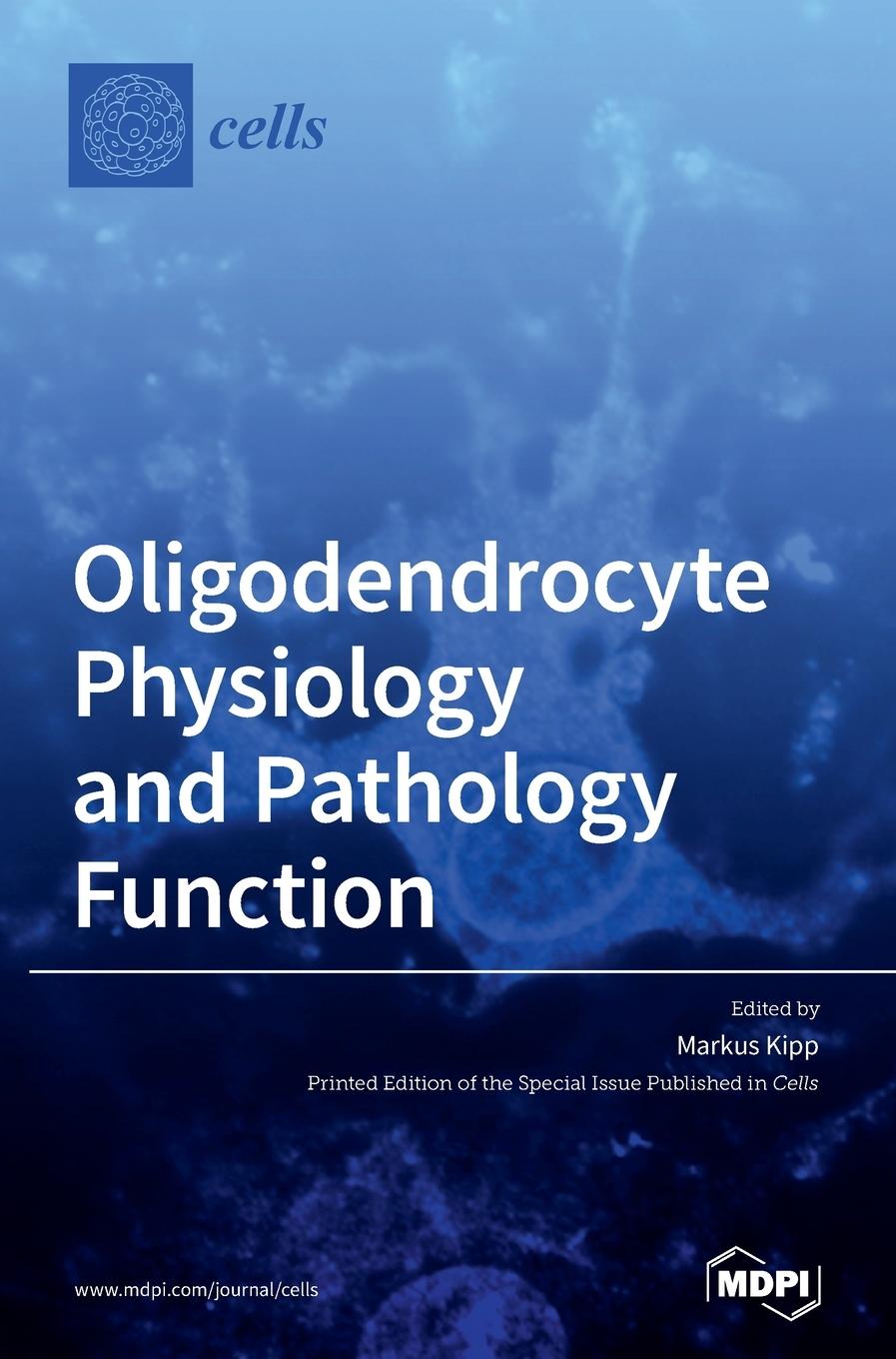 Knjiga Oligodendrocyte Physiology and Pathology Function Markus Kipp