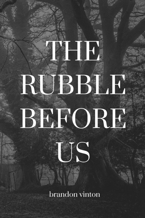 Knjiga Rubble Before Us Brandon Vinton