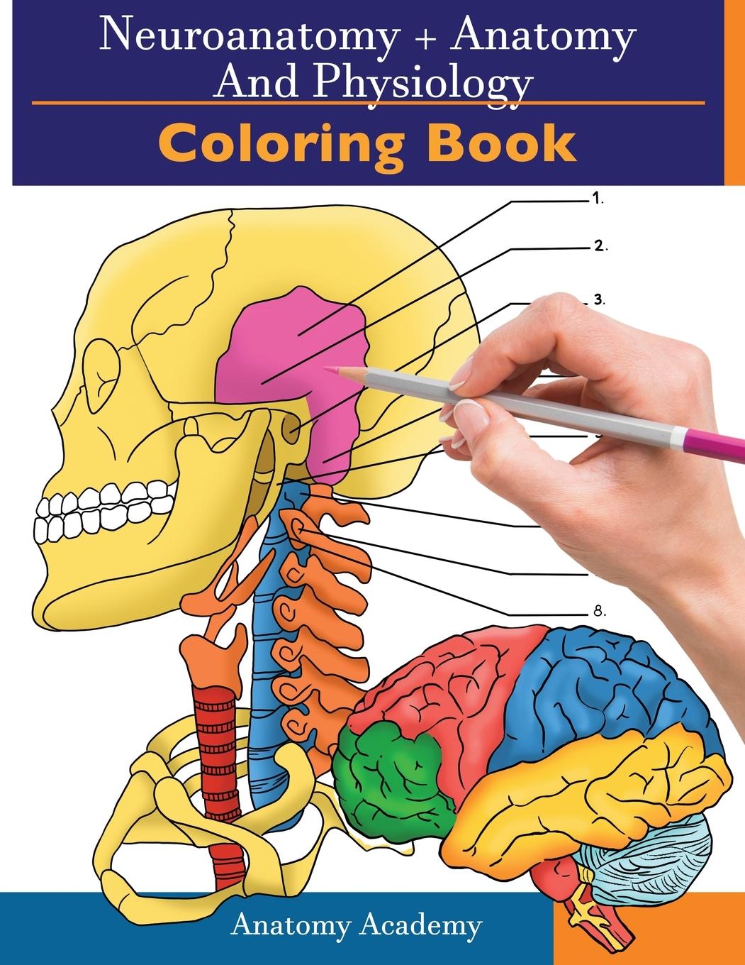 Carte Neuroanatomy + Anatomy and Physiology Coloring Book 