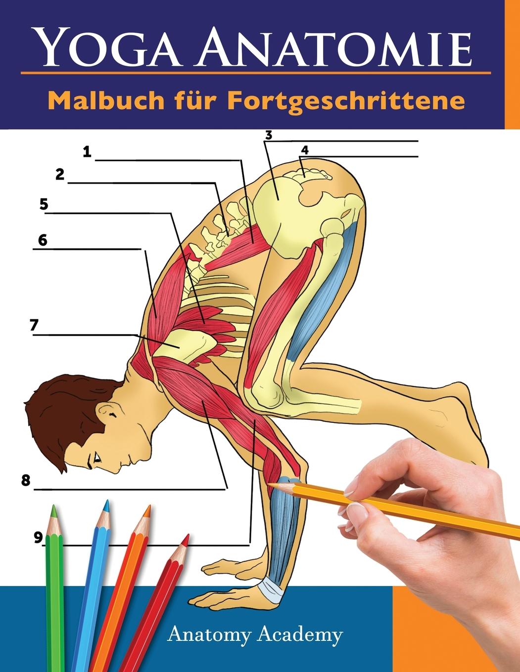 Könyv Yoga Anatomie Malbuch fur Fortgeschrittene 