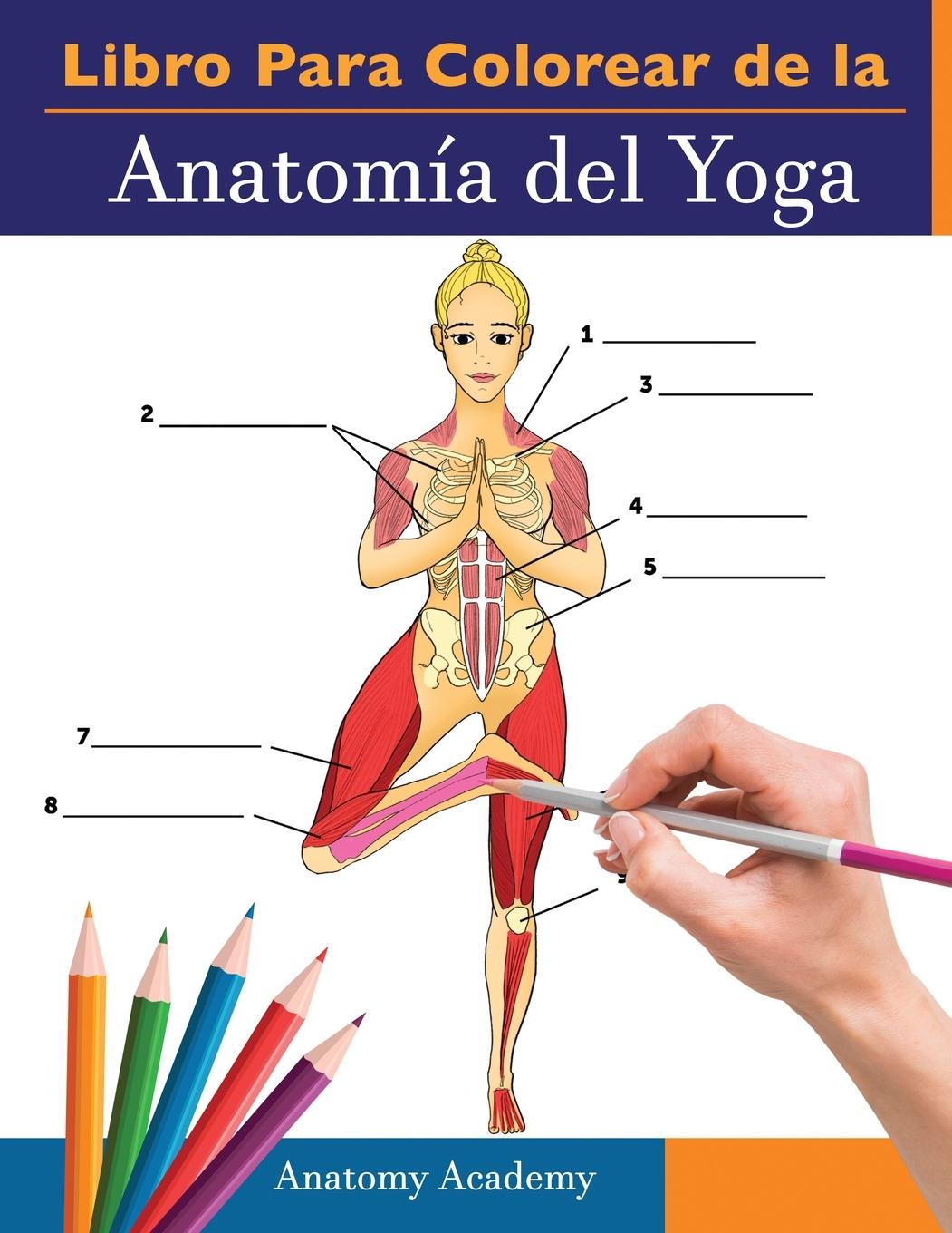 Kniha Libro Para Colorear de la Anatomia del Yoga 