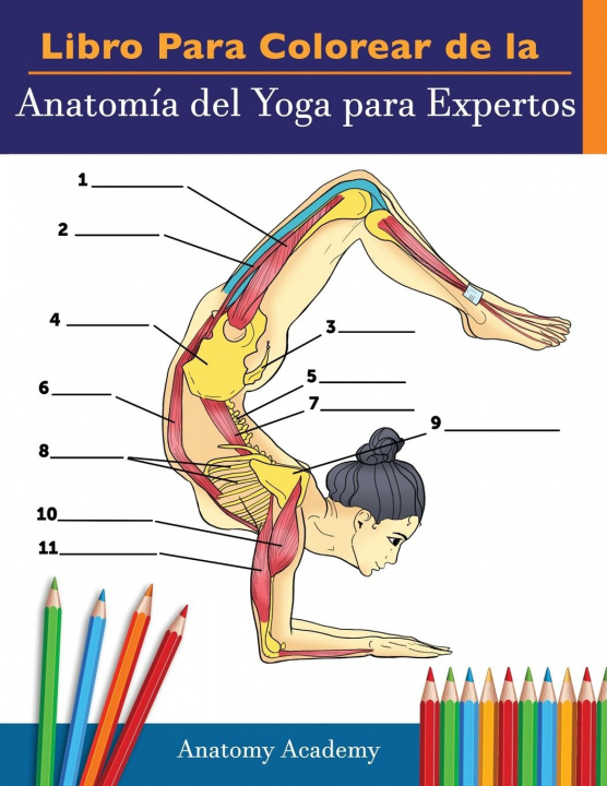 Kniha Libro Para Colorear de la Anatomia del Yoga para Expertos 