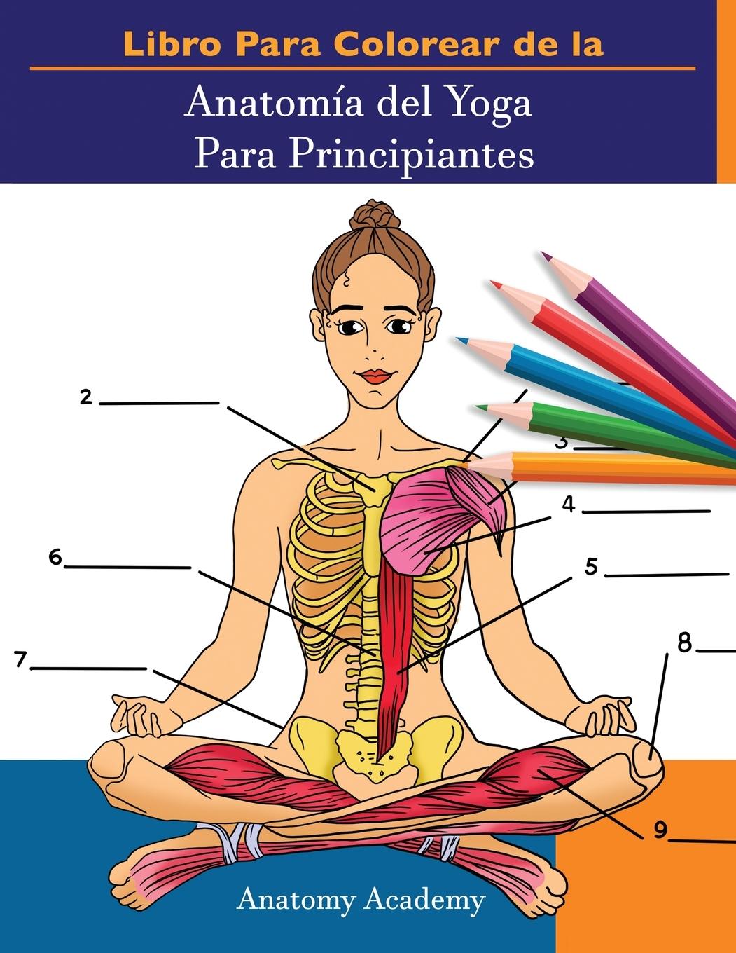 Knjiga Libro Para Colorear de la Anatomia del Yoga Para Principiantes 