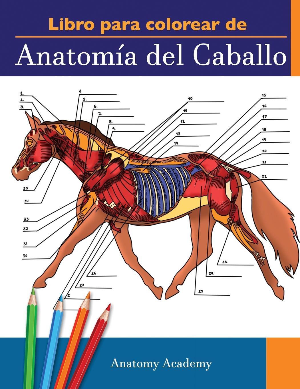 Knjiga Libro para colorear de Anatomia del Caballo 