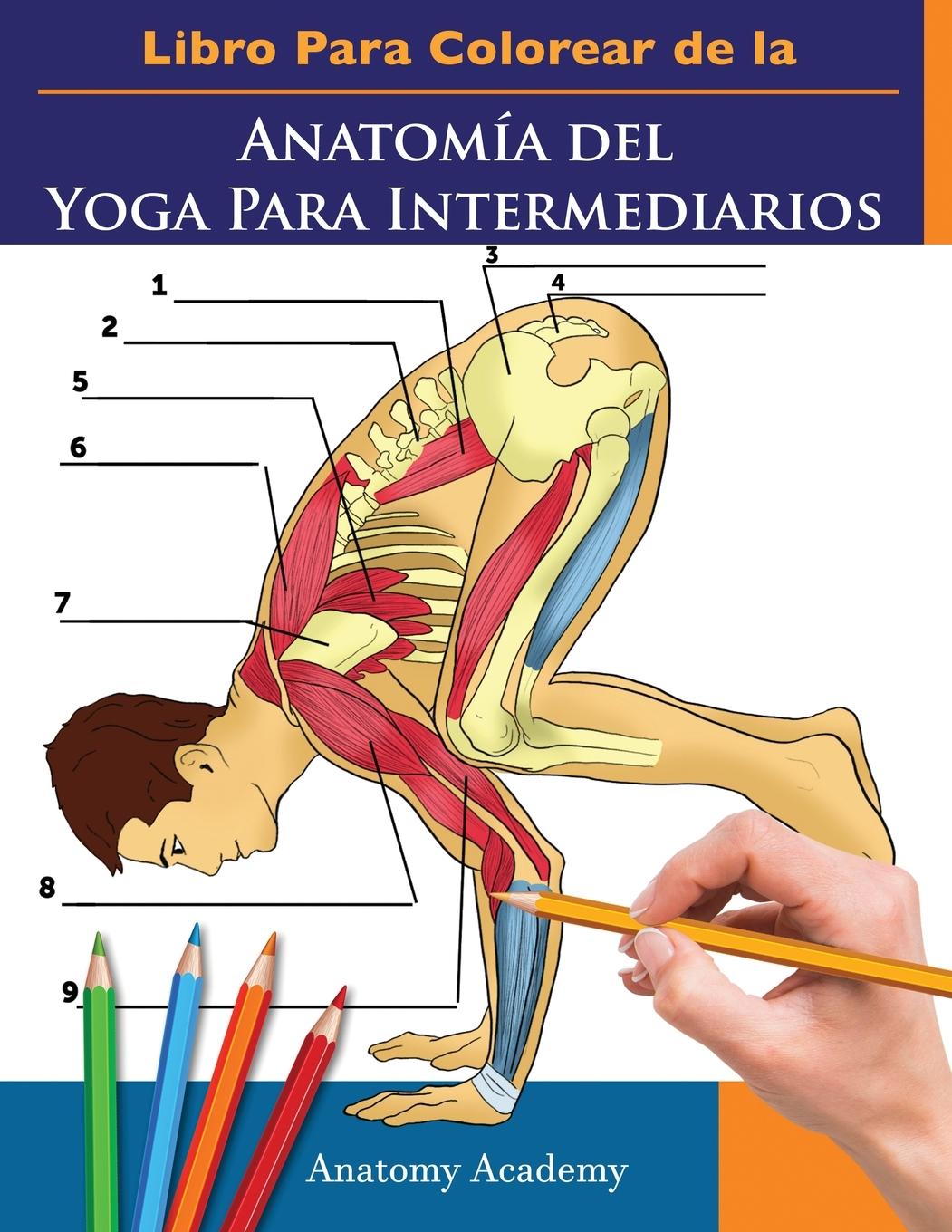 Kniha Libro Para Colorear de la Anatomia del Yoga Para Intermediarios 