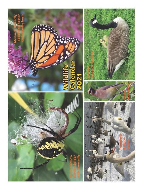 Knjiga Wildlife Calendar 2021 Barbara a. Fanson