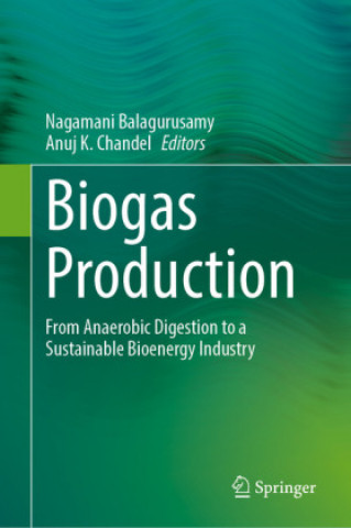 Kniha Biogas Production Nagamani Balagurusamy