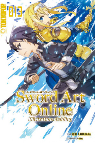 Kniha Sword Art Online - Novel 13 Abec