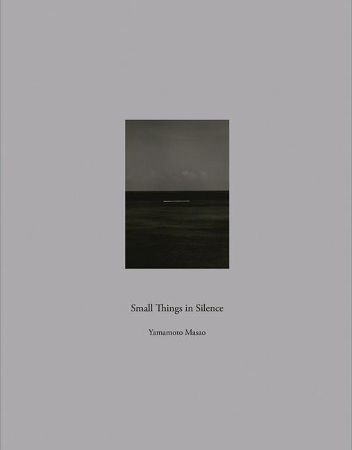 Kniha SmallThings in Silence 