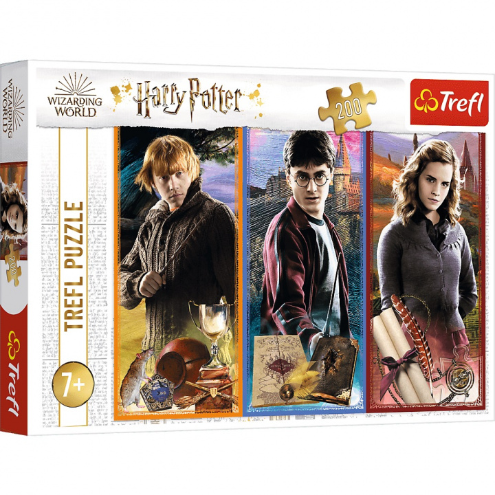 Hra/Hračka Puzzle Harry Potter: Ve světě magie a kouzel 