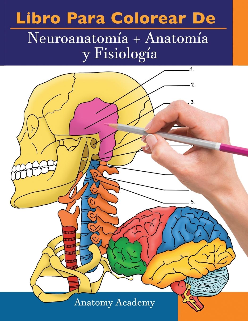 Knjiga Libro para colorear de Neuroanatomia + Anatomia y Fisiologia 