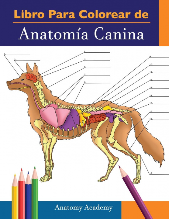 Könyv Libro para colorear de Anatomia Canina 